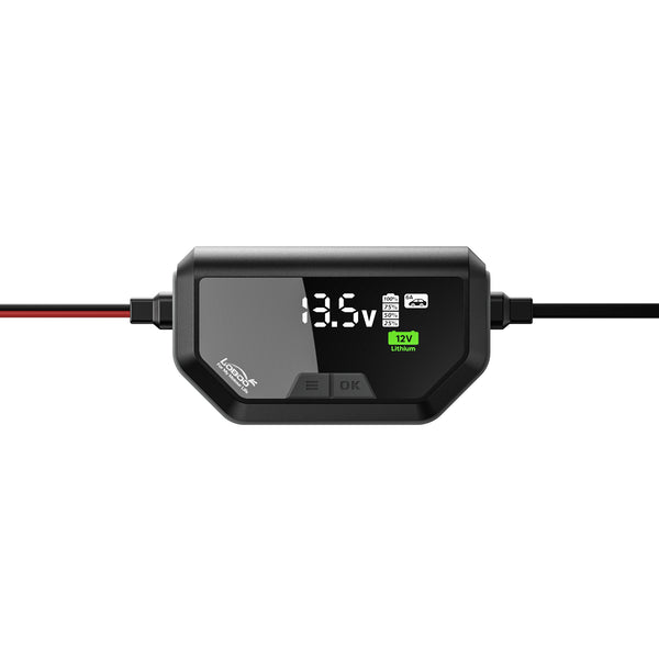 Cargador y mantenedor para batería de moto de 12 V | 6 A y 3 A, litio, plomo y AGM, IP65
