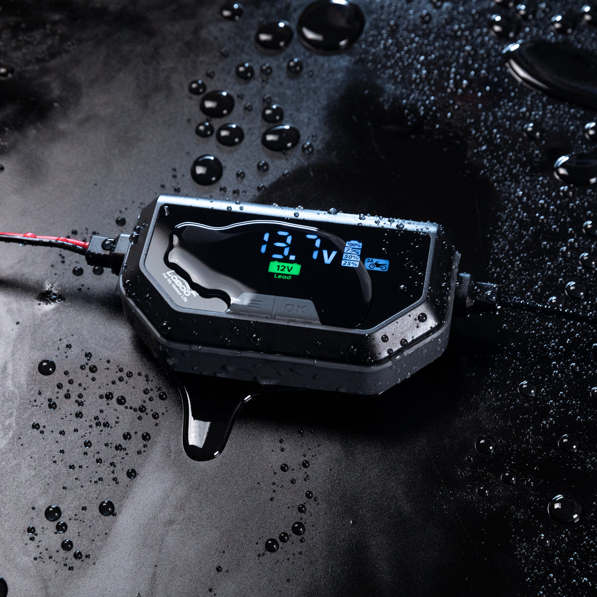 Caricabatterie C60 bagnato dall'acqua, con il grado di protezione IP65 dichiarato dal produttore