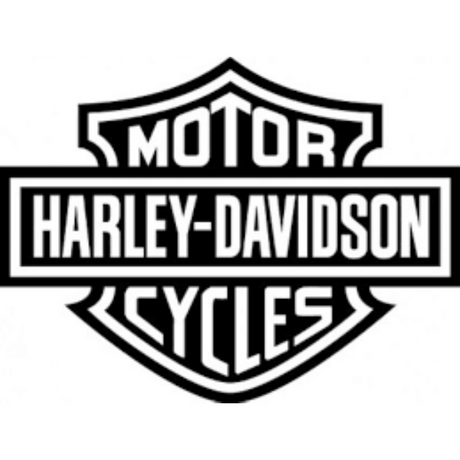 HARLEY-DAVIDSON Endurrad