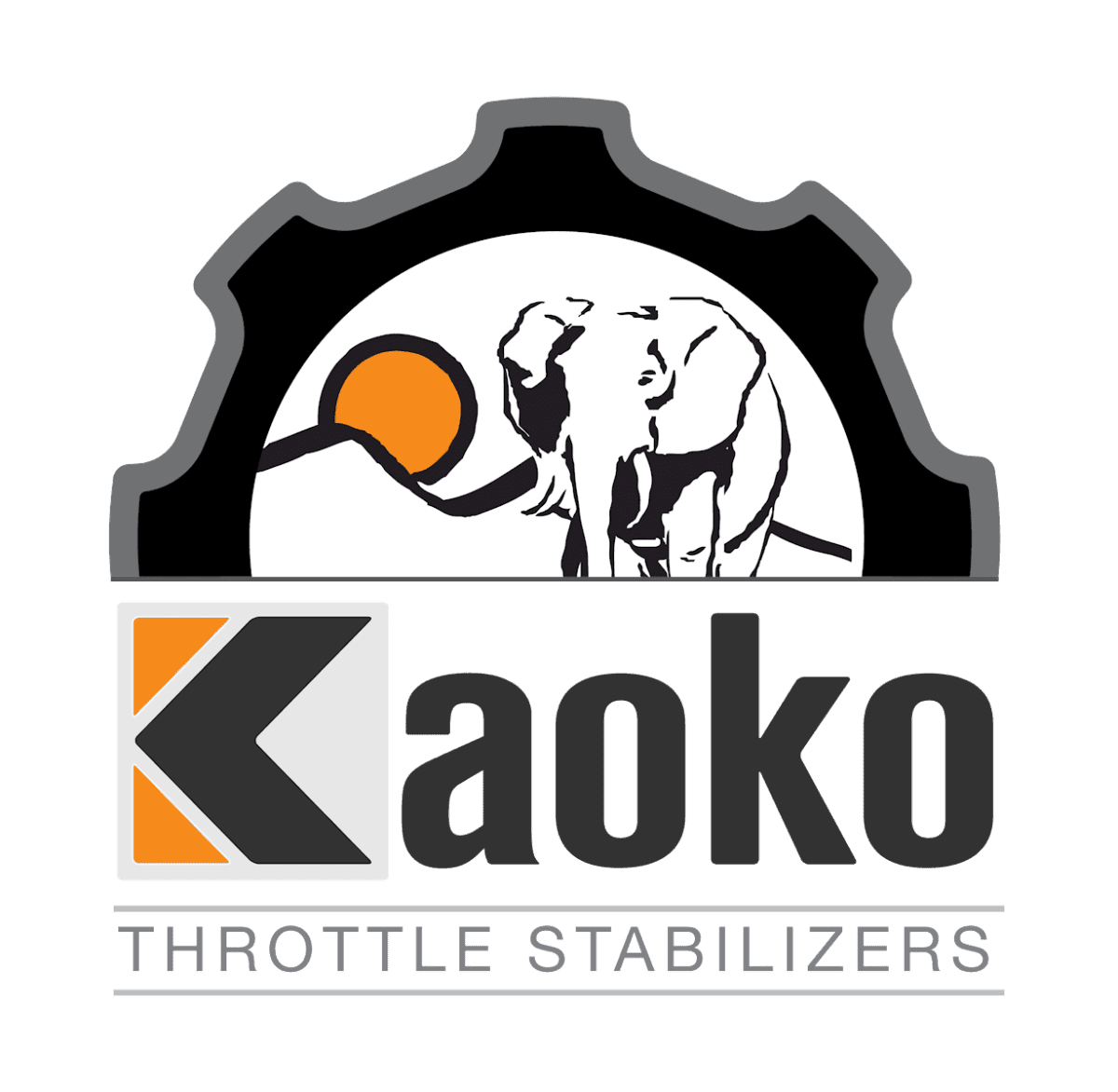 Stabilizzatori Acceleratore Kaoko: Cruise Control Meccanico per Moto - Endurrad®