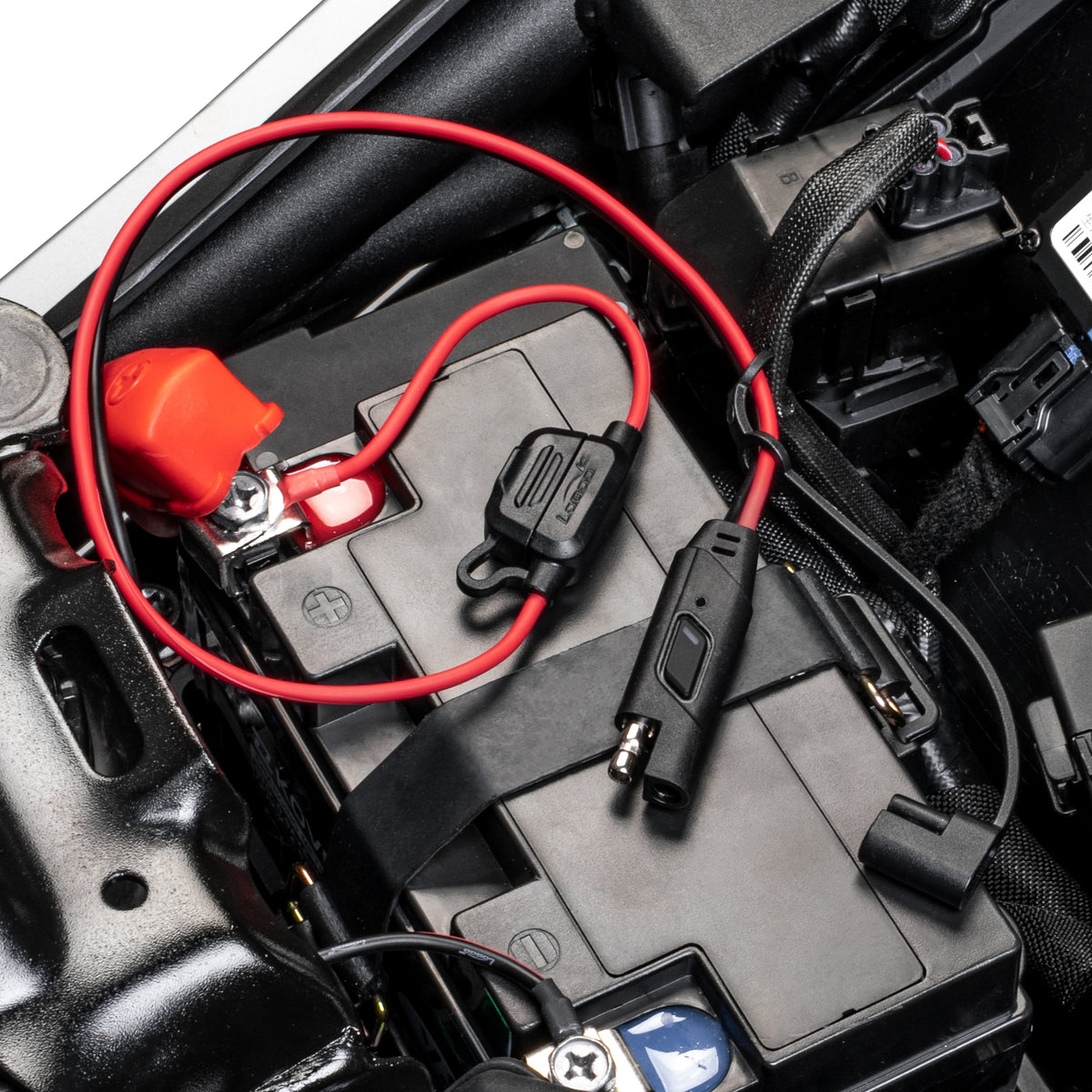 Terminali ad anello del cavo SAE fissati ai poli della batteria, sotto il copripolo