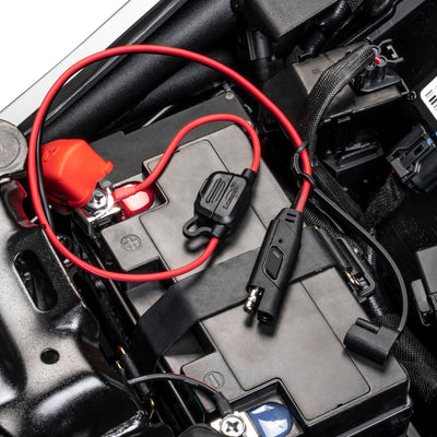 Terminali ad anello del cavo SAE fissati ai poli della batteria, sotto il copripolo