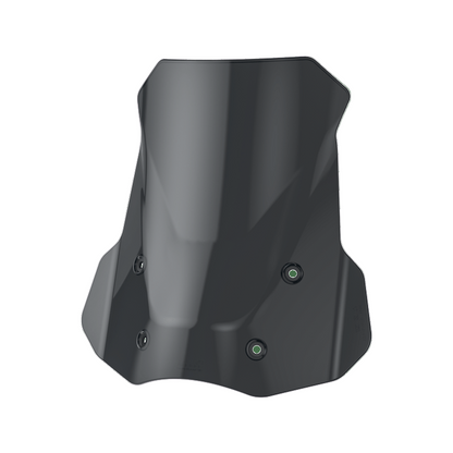 Parabrisas Loboo para BMW R 1300 GS y Adventure - Endurrad.com