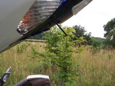 Portatarga Suzuki GSXR 1000 K5-K6 Bad Boy