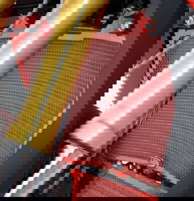 Retina protezione radiatore - BMW S1000XR